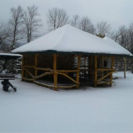 Karpaty Viking Motel Nizhneye Sinevidnoye Eksteriør billede